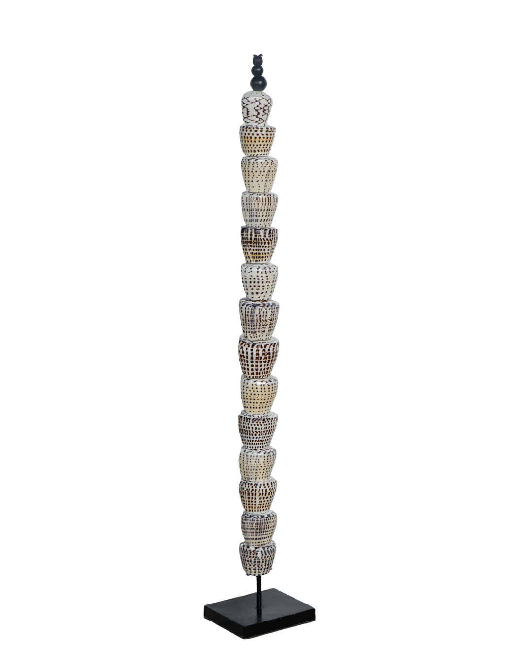 THE CONE SHELL COLUMN