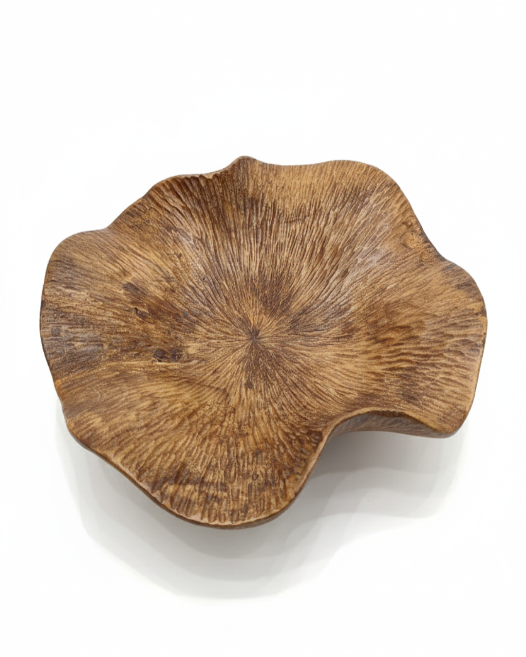 LOTUS MEDIUM WAVE CAEVING