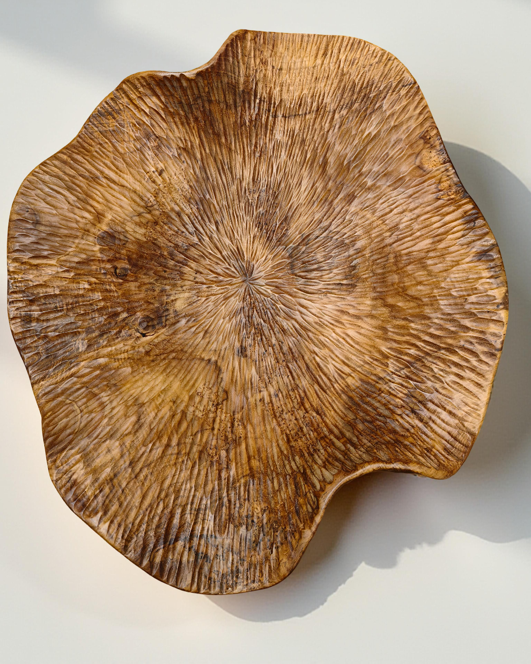 LOTUS MEDIUM WAVE CAEVING