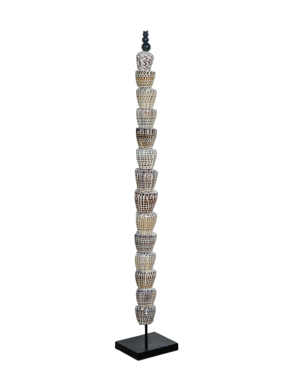 THE CONE SHELL COLUMN