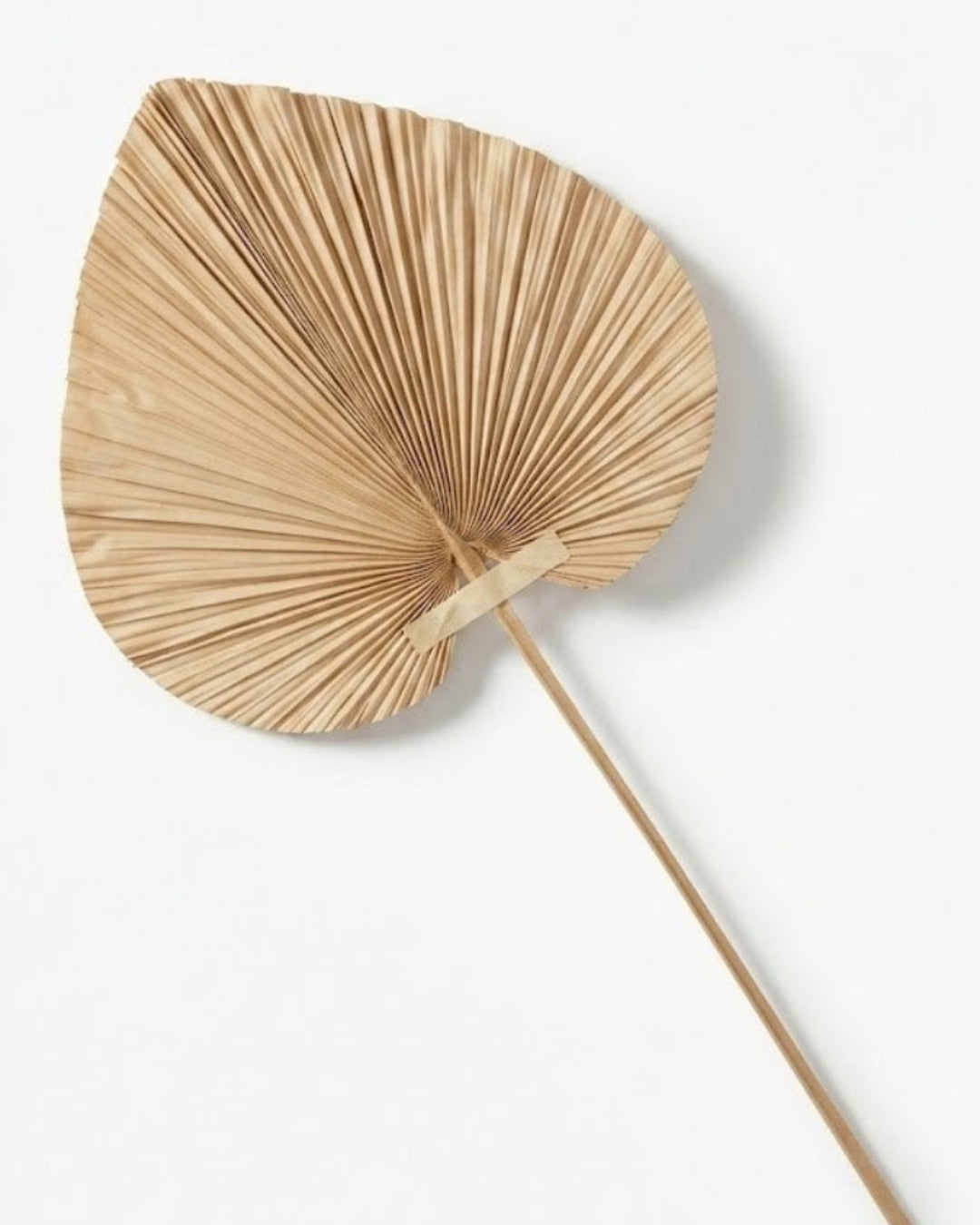 PALM LEAF DECO - PER PIECE