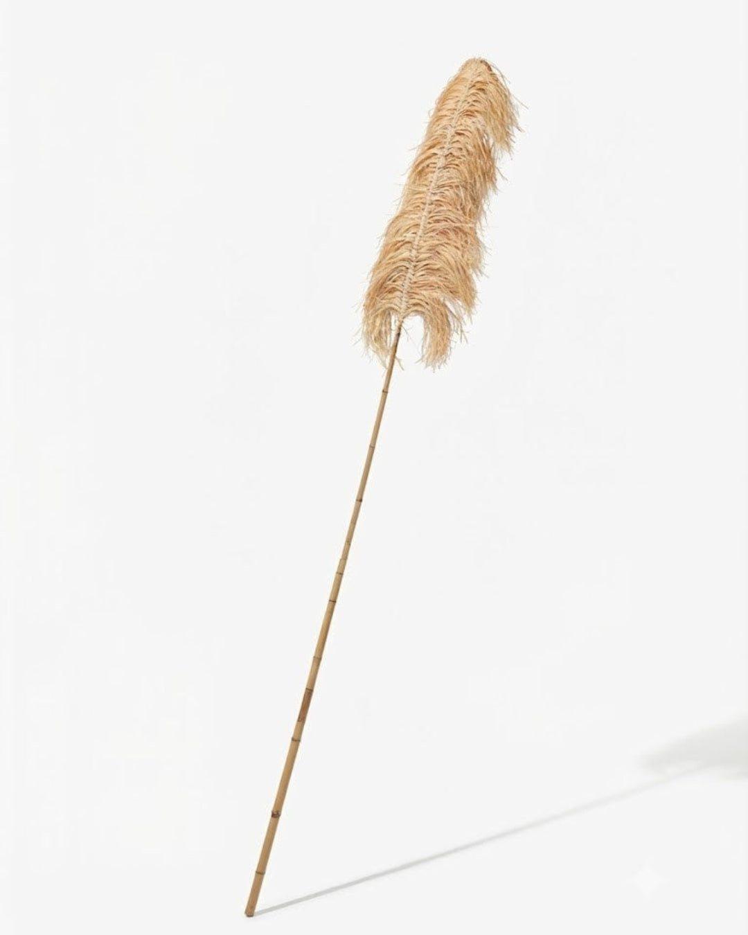 PALM LEAF SPEAR - PER PIECE