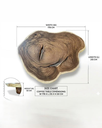 THE FOREST'S CORE